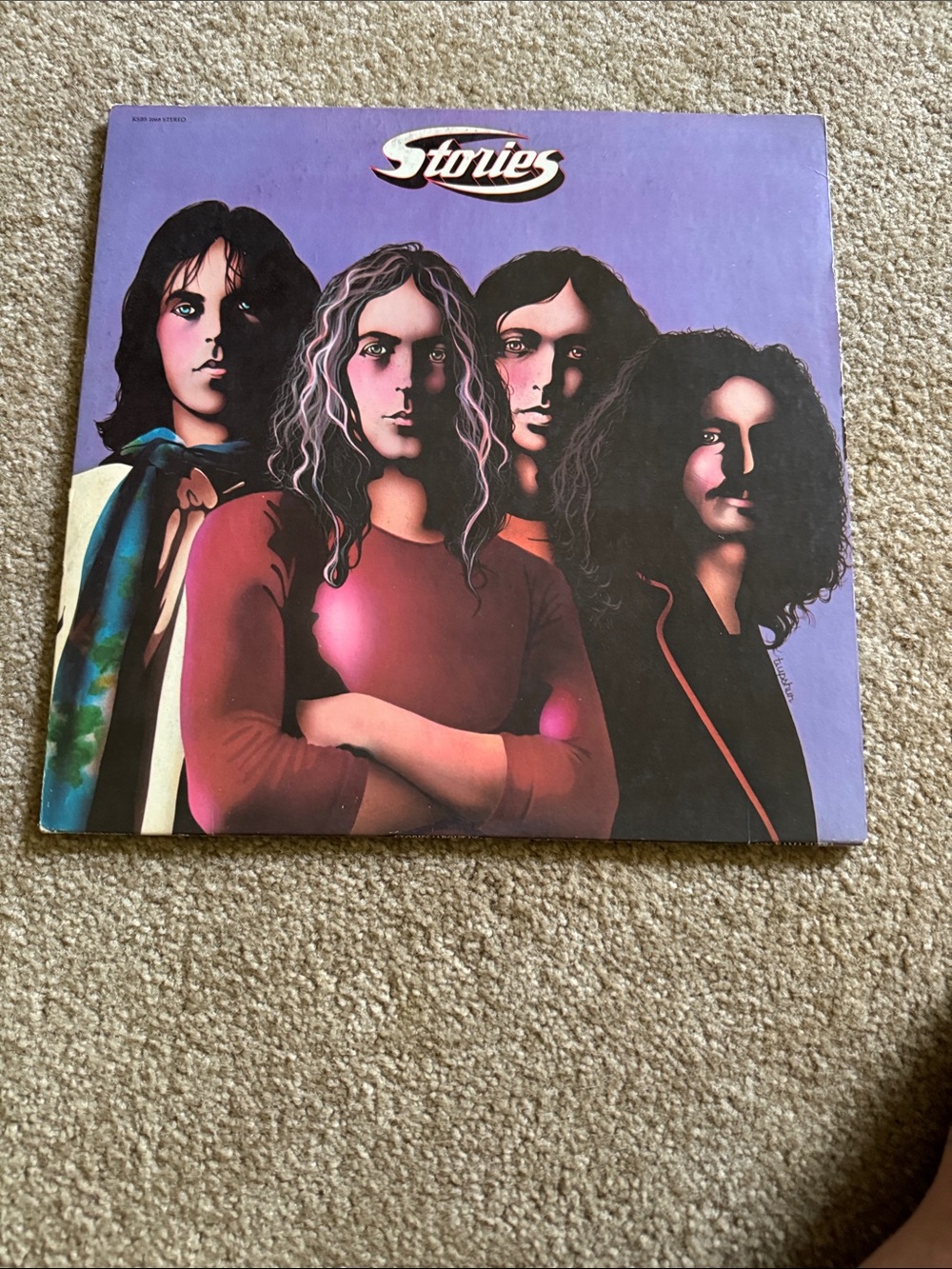 Stories Vintage Illustrated Band LP